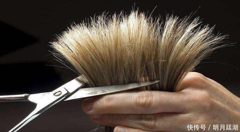 头发|头发干枯毛燥怎么办?六个方法帮你改善