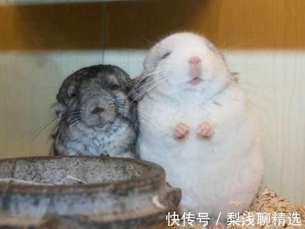 |笑话段子:今天换了号码,想和媳妇开个玩笑,给她发了消息……