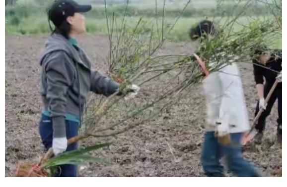 泥鳅|那英来蘑菇屋没架子，跳进水沟抓泥鳅，和陈赫李诞形成鲜明的对比