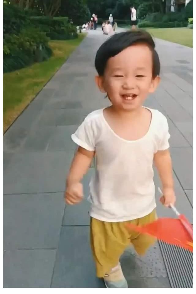 夫妇俩|爱国先锋!陈小春1岁半小儿子正面照曝光,手执国旗开心挥舞狂奔