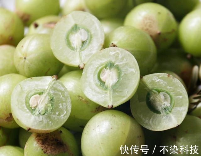 柠檬靠边站,它们是维C之王,好吃价值高,打理还简单,一起看看!