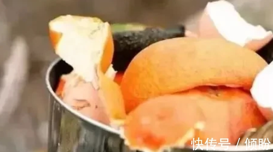 根茎|三种果皮垃圾，别再丢进垃圾桶了，丢进花盆，花卉根茎变更粗壮