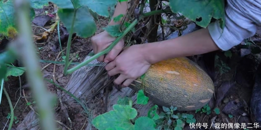 桌子|李子柒晒秋收家宴,吸引三千万人观看,满满一桌子的美味,太馋人