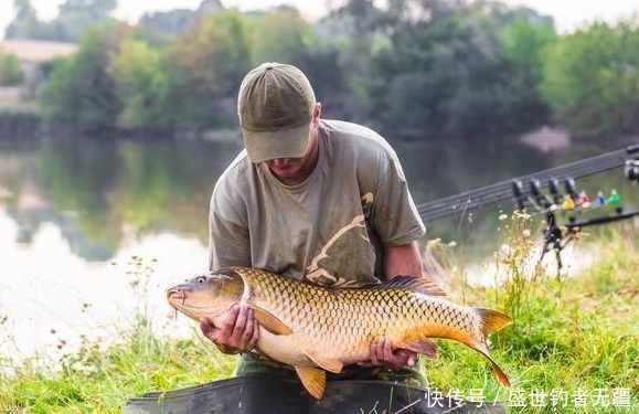 大鱼|“小杂鱼闹窝”如何解决?其实方法很简单用过都说好——盛世三渔