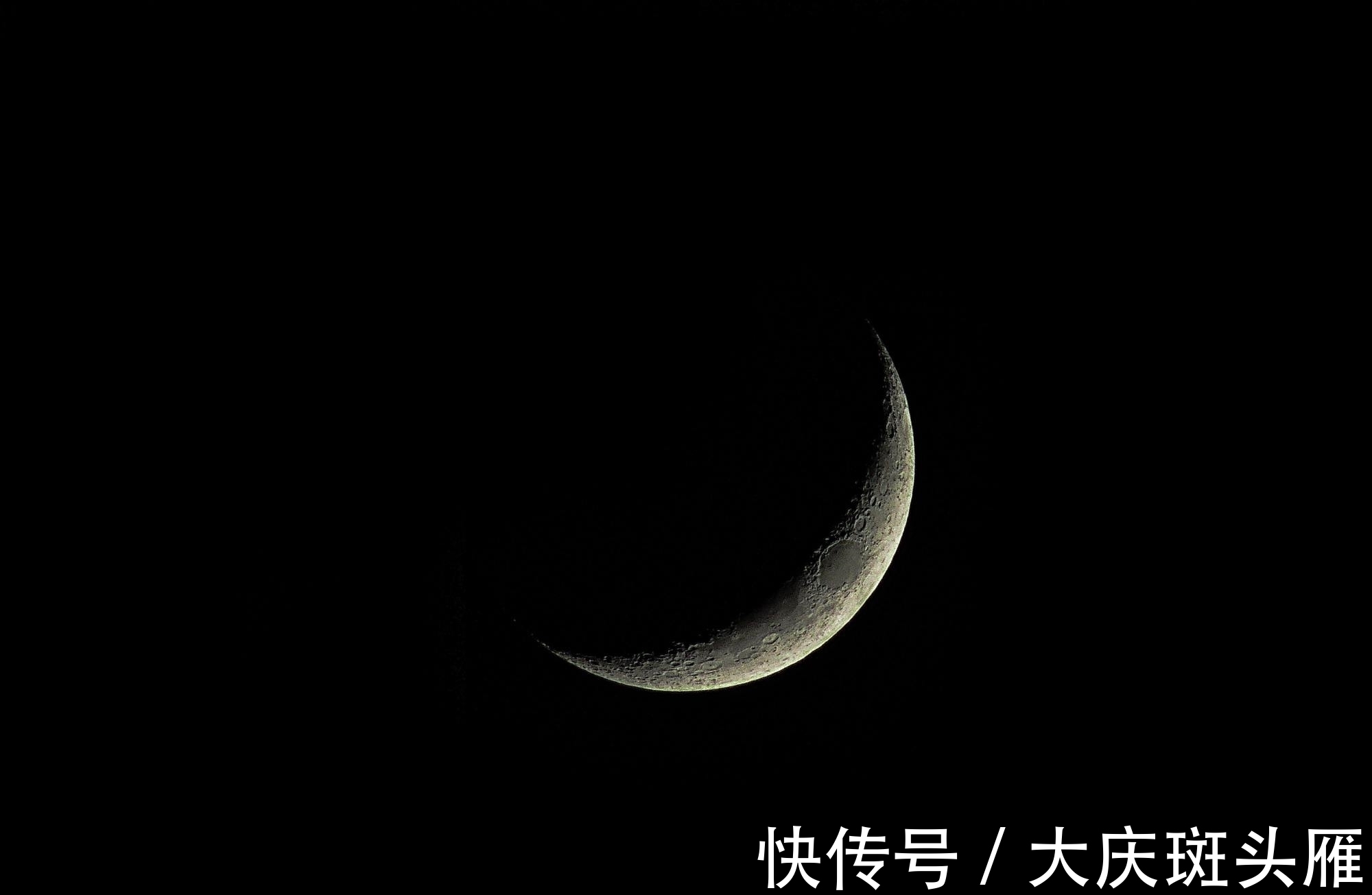 张九龄&王安石很经典的7首短诗,4首励志3首可爱,读来大有收获