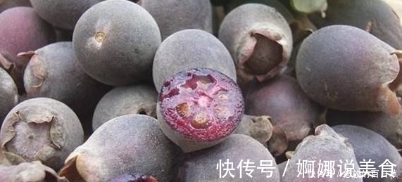 野果|4种即将“消失”的农村野果,全吃过越来越少,你吃过几种呢