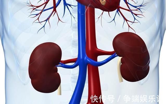 状况|男性上厕所出现这种状况,别忽视,是肾在给你敲警钟