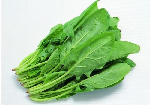 胜过|吃一口胜过8斤菠菜，心内科医生：你若爱吃，降脂溶栓，脑梗＂不敢造次＂