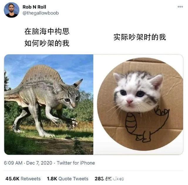 |拍迪士尼烟花翻车现场  冷段子2008