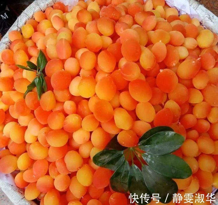 补充|人到中年想长寿,要坚持吃3种食物,补充营养、补益身体!