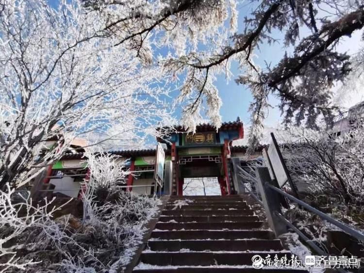 第一场雪|崂山迎来今冬第一场雪，白雪雾凇分外妖娆