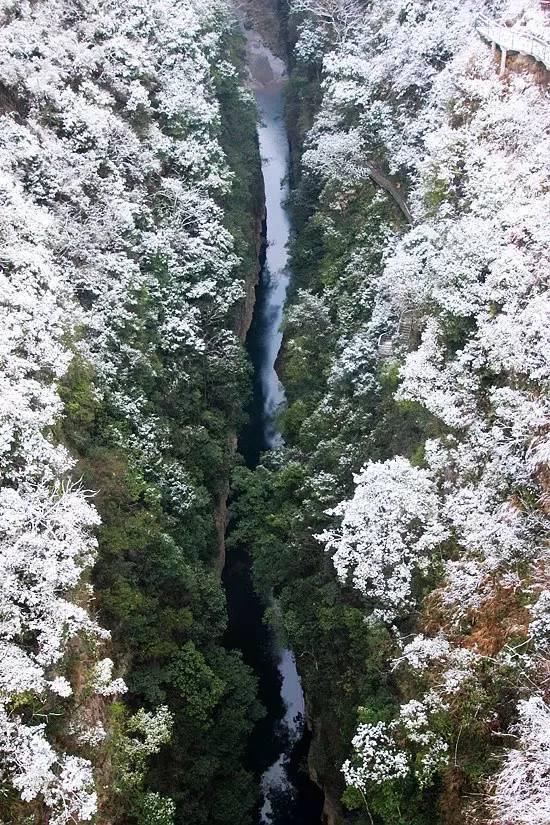 银装素裹|下雪了，银装素裹下的湖北绝美大片