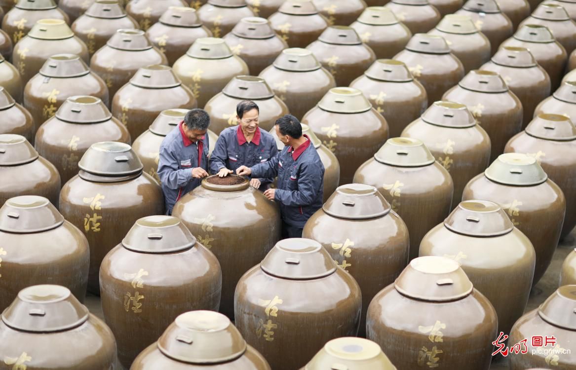 赤水市|古法酿醋焕发生机