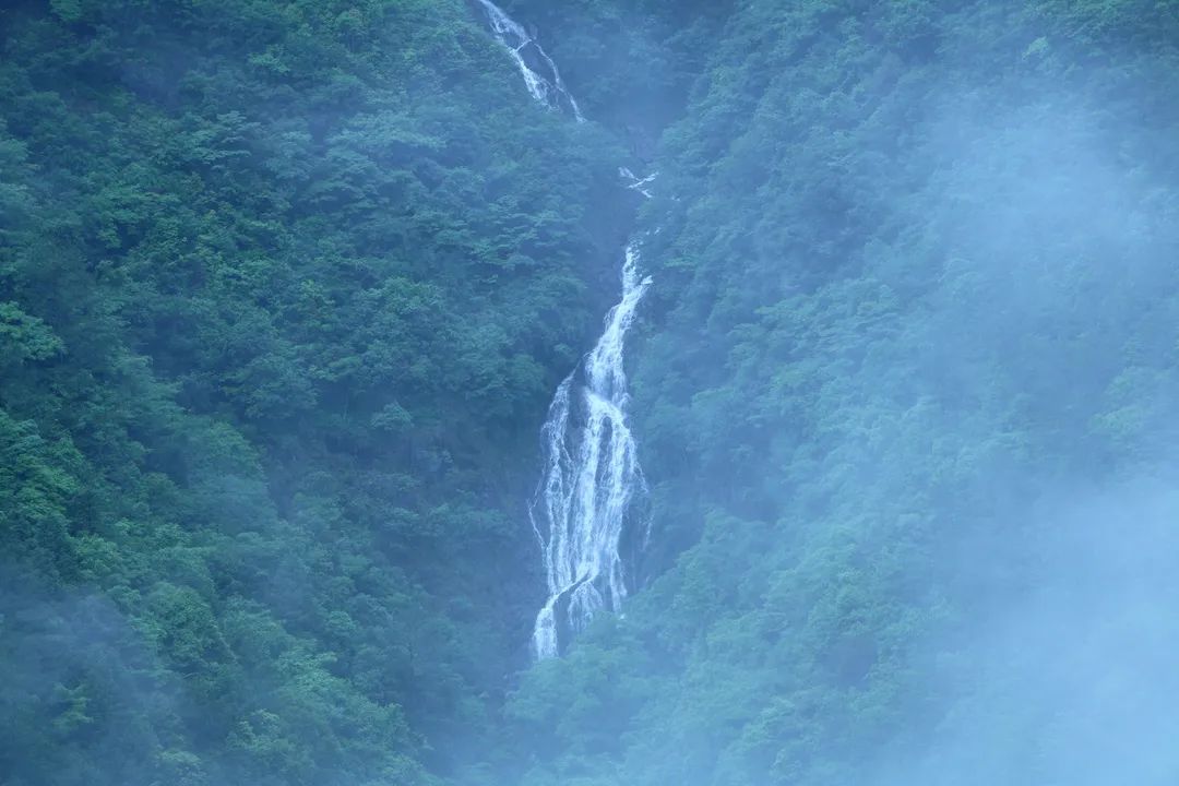 索道|荒废的索道——“守山人”的“共富”逐梦印记