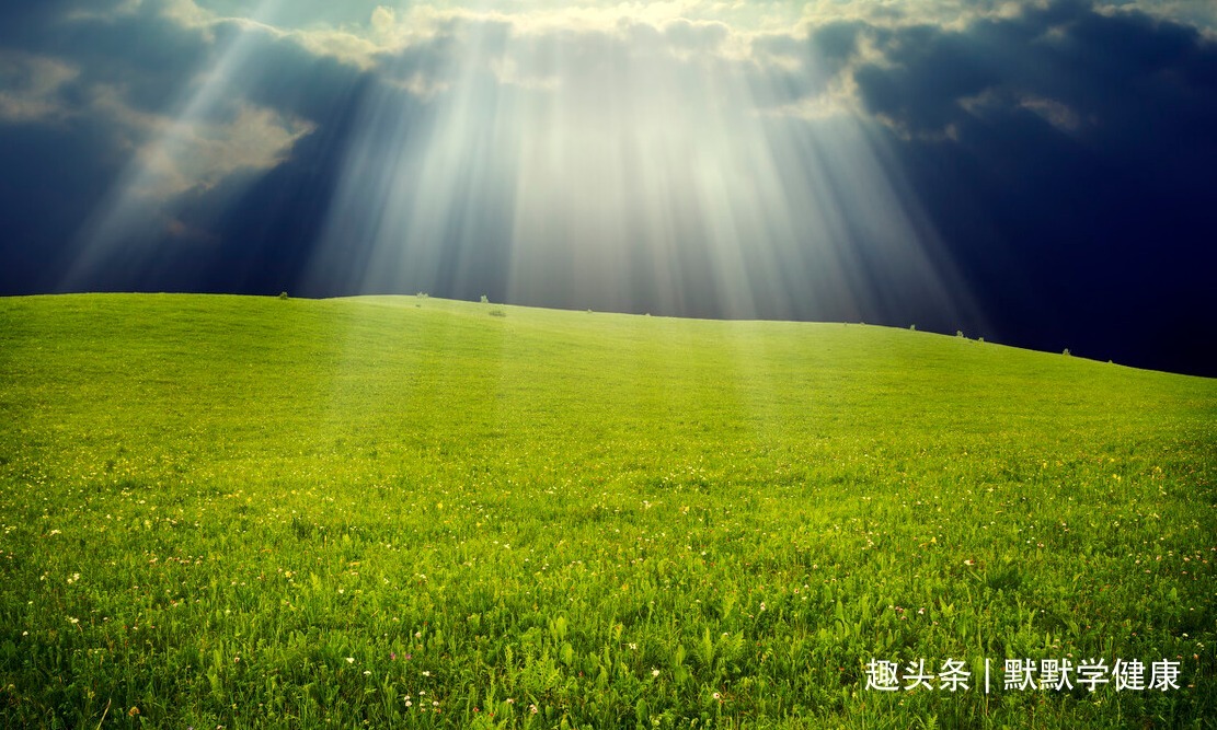 三七花|八旬老中医被12种疾病缠身，他用三招自救，竟然全好了！