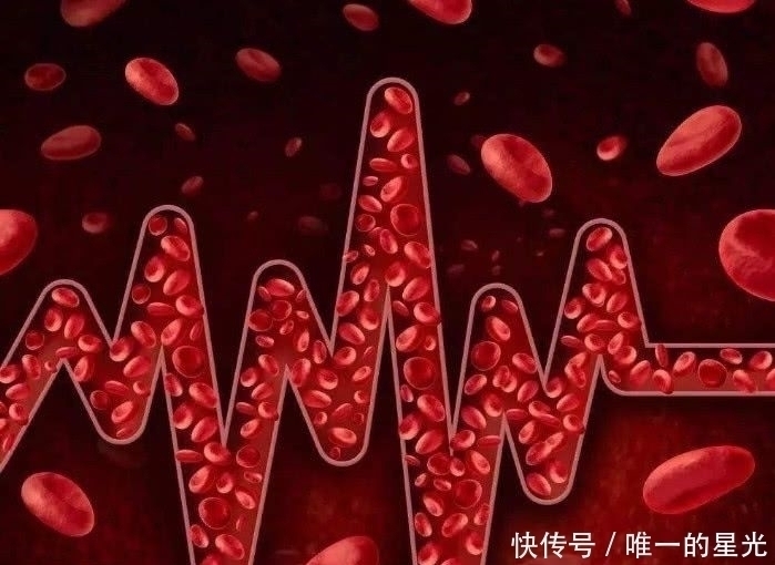 优质蛋白|血管堵了别担心,多吃这几种食物,净化血液通血管,身体更健康