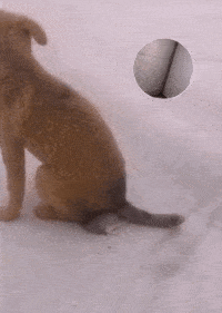 |搞笑GIF:班主任的日常,此情此景熟悉的味道