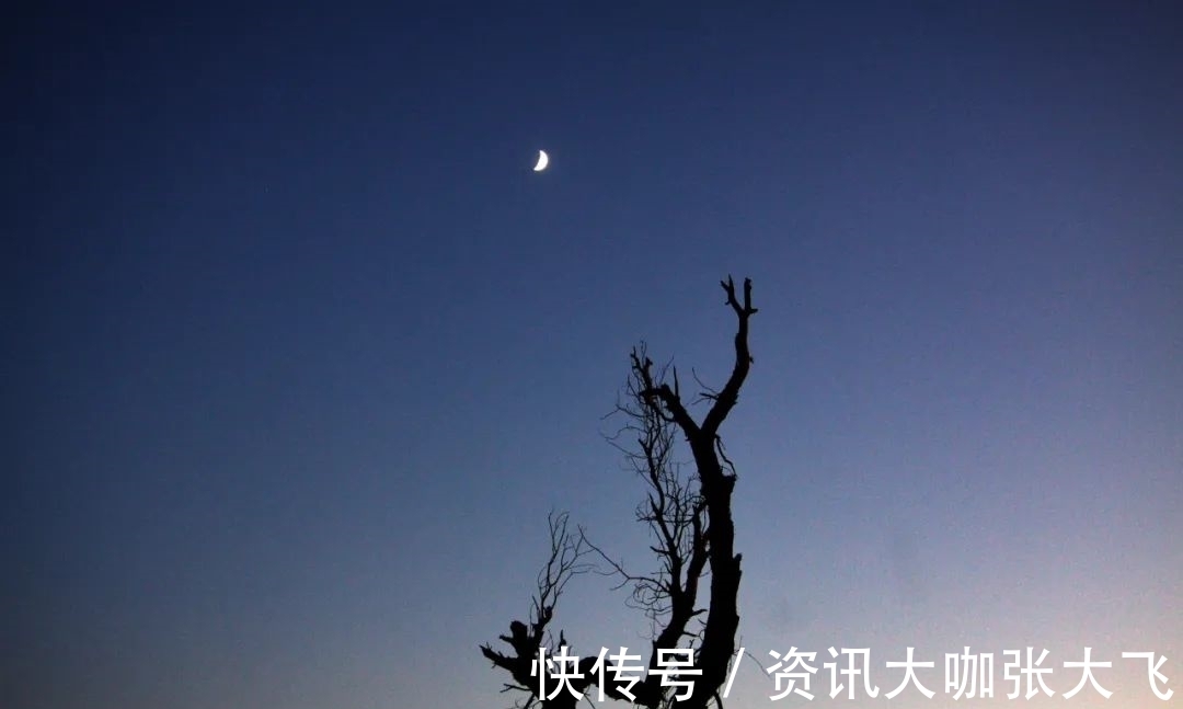 冬天$冬天的月光,静静洒落