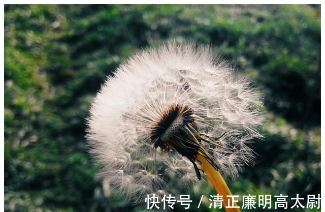 王公贵族|未来2周，3生肖迎来旺盛财运，财富遍地，家中喜事不断