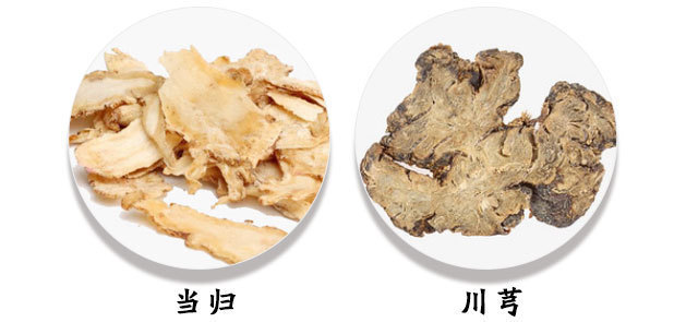 用于血虚|养血圣物:当归,还是补血调经、活血止痛、润肠通便的能手!