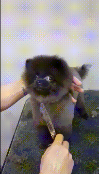 |搞笑GIF趣图年青人,给我助个力!大爷:卧槽!