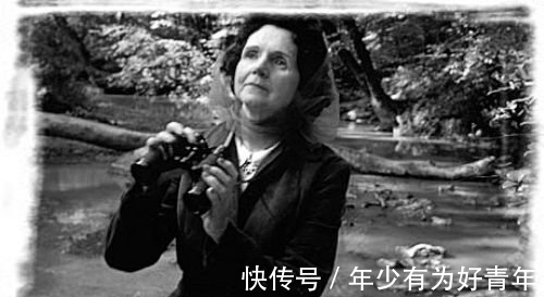 自然教育|绿聚书圈｜永怀惊奇之心