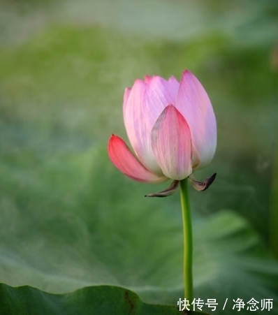 喜从天降|到了10月，吉星照耀，4属相贵人相助，财旺运旺事事旺