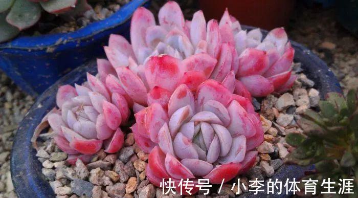 要想成为一名合格的肉友,你还需要知道这些黑话