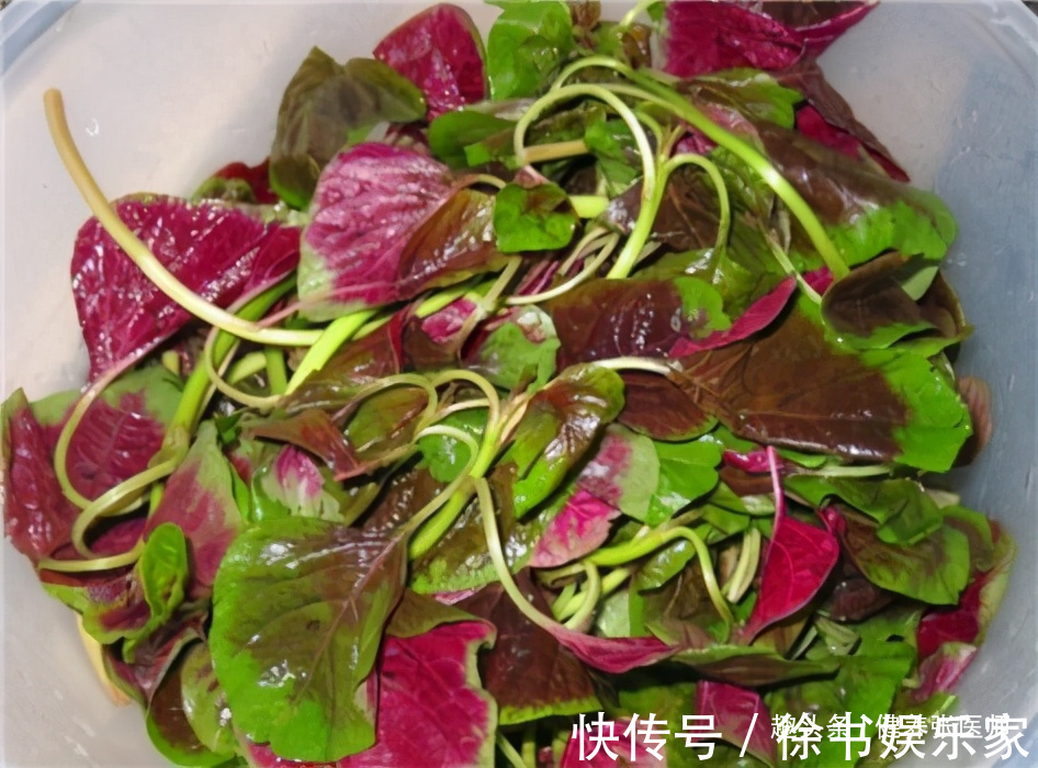 红苋菜|超市很常见的3种食物,排毒养颜,滋润肌肤,好处多多!