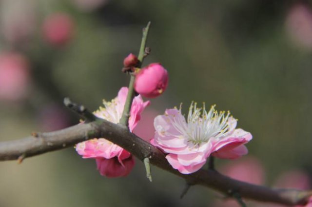 圣人#《道德经》:悟透这五个字,才发现最高明的管理者都有这种特质!