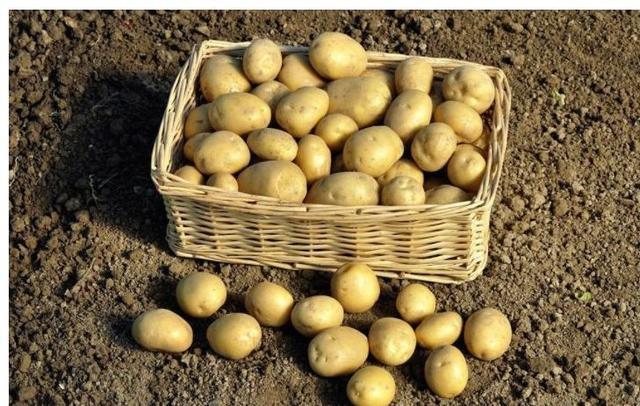 老少皆宜|超市很常见的3种食物，值得天天吃一些，美容养颜、滋润身体！