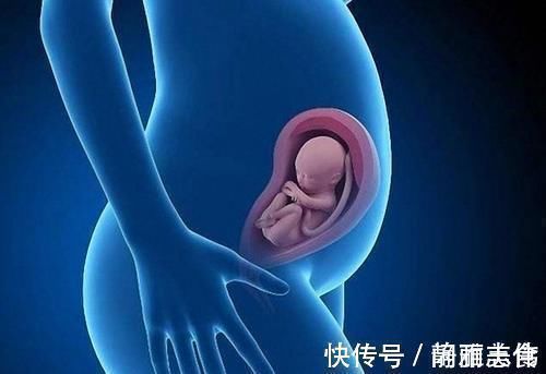 受精卵|首例试管婴儿已经32岁了!情况可能和你们想的不一样