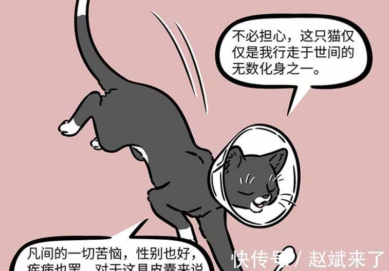 佛性|非人哉:大士为普度众生被绝育,我佛果然慈悲,悟了悟了!