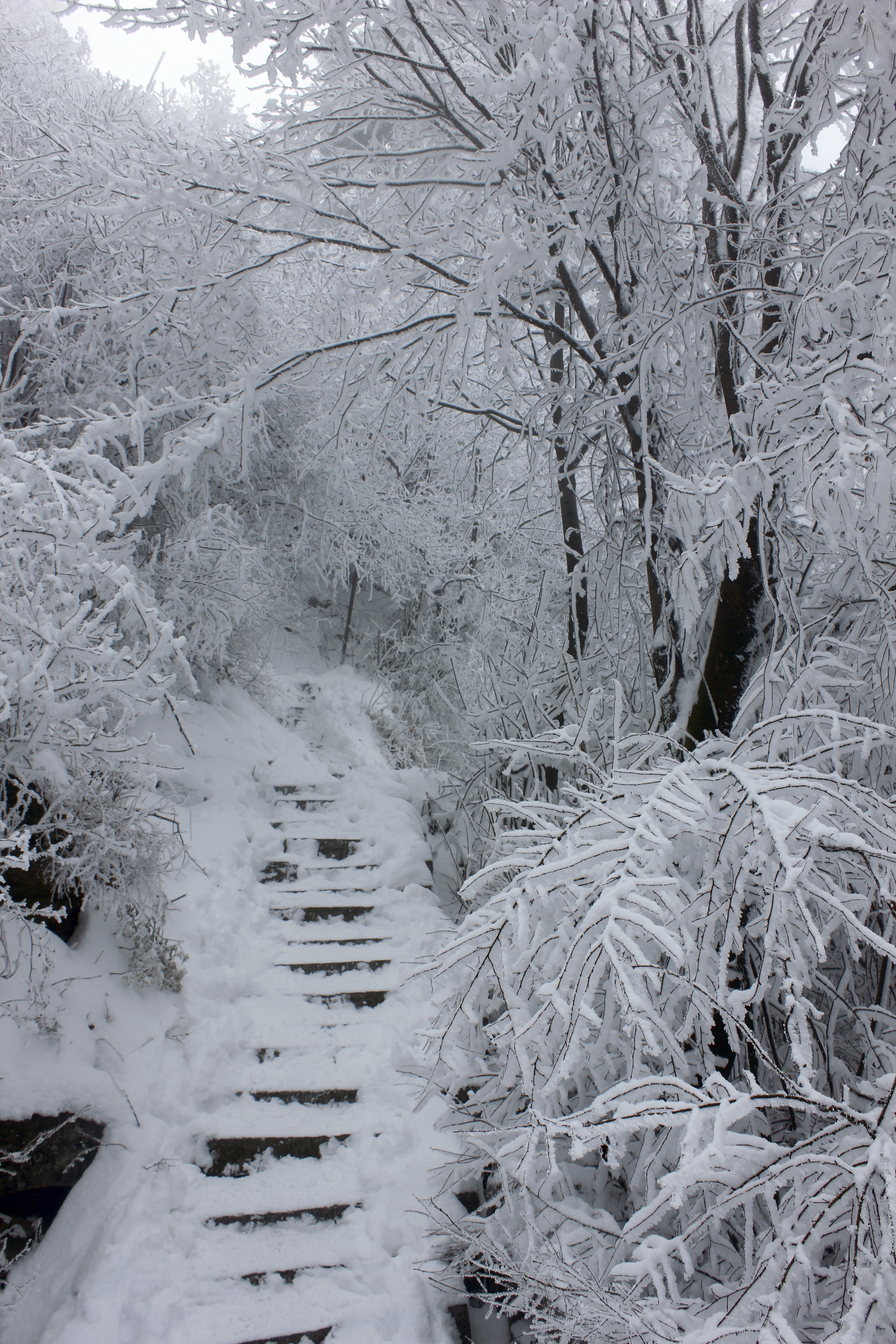 征集|【年末福利征集】雪后南五台幸遇云海