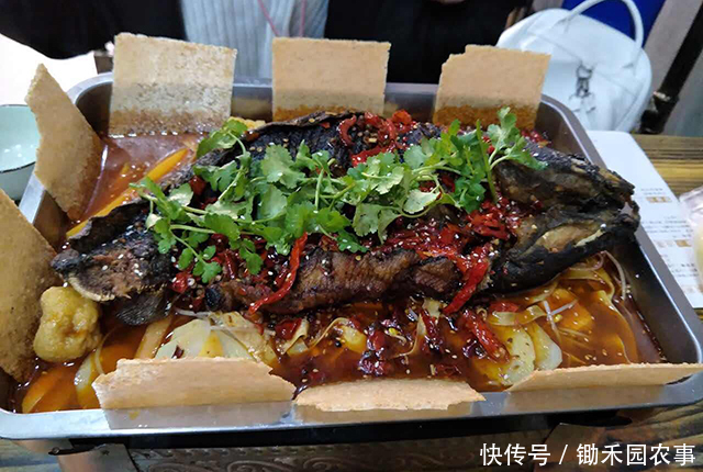 食物中毒|食物中毒离我们并不遥远,除了酸汤子,这7种食品也能变“杀手”