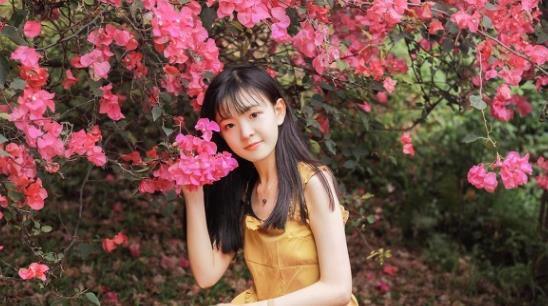 兰花|6种北方不适合养的花卉,技术不到位容易死,非高手就不要考虑了