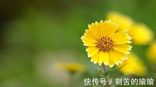 寇准$古人智慧15个机智又有趣对联故事！