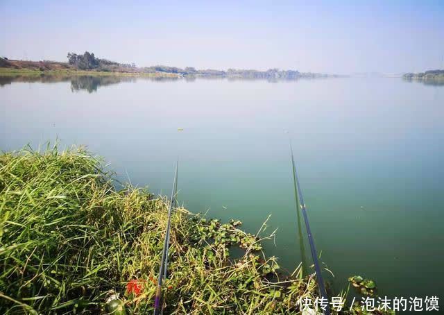 鲢鳙|盘点几种夏天野钓的天然重窝,切记准备要大钩粗线