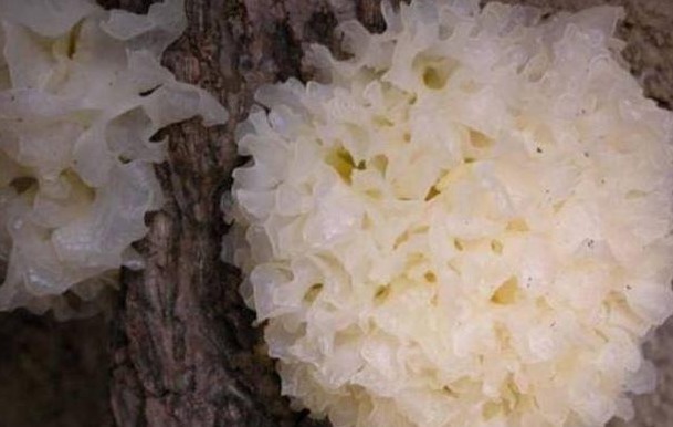 几种家常菜,还是白血病的“温床”,多数人不