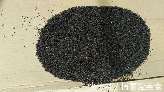 想石竹花开花漂亮,养护起来还很简单,家里有院子的不要错过!