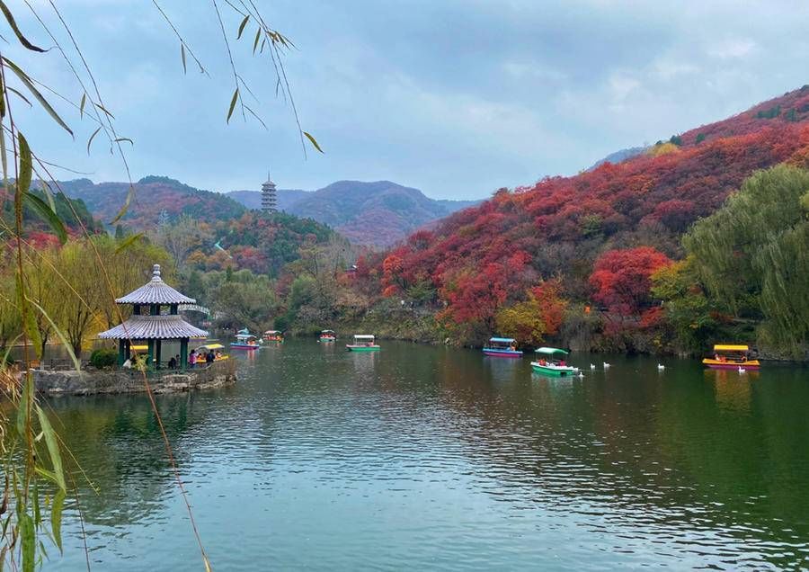 秋日美景正当时！壹粉推荐赏景佳地获奖|11月4日最佳情报| 佳地