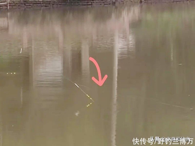 这种“流氓”钓法,只因“杀伤力”较大,所以被很多钓友唾弃