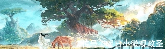 小白文|《雪中悍刀行》后无书可读？这三本了解一下，拒绝小白文