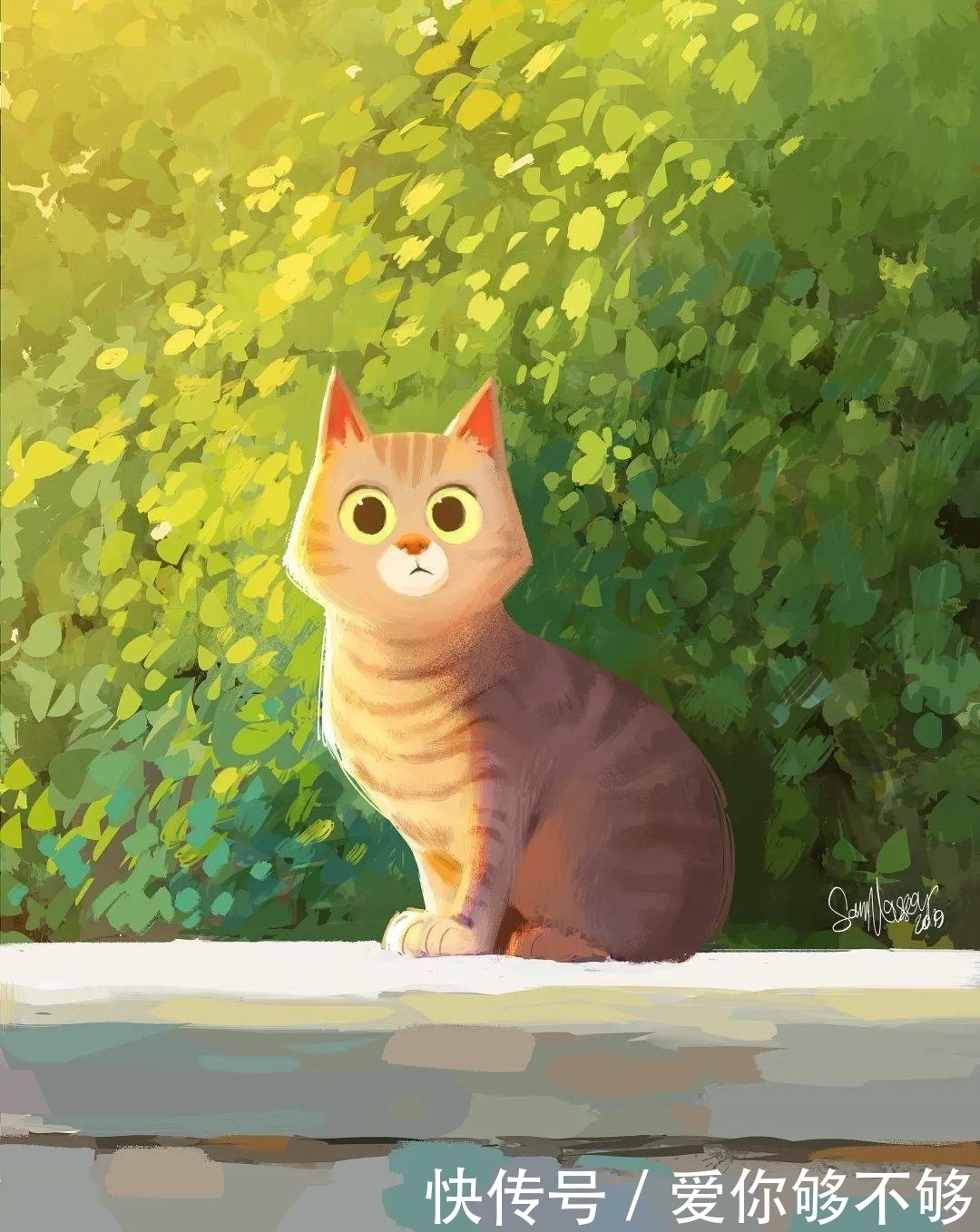 插画|三组各具特色的动物插画,看完很治愈~