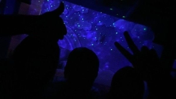 吴尊搬新家女儿公主房曝光 网友直呼梦想中的房间