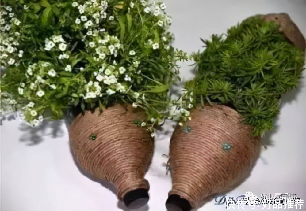  收纳|塑料瓶手工制作 老师们、家长们收藏吧