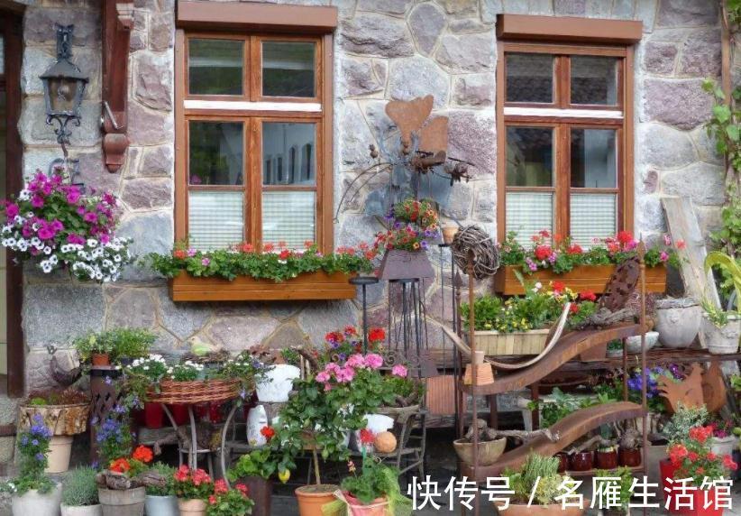水溶肥|养花常用这3种肥,掌握住正确用法,养啥旺啥,枝叶茂开花勤