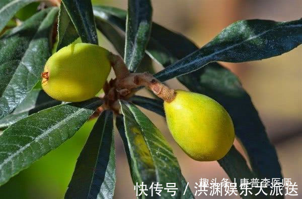 排毒养颜|爱美女性的不二之选,常吃3食物,排毒养颜,淡化黑眼圈,更年轻