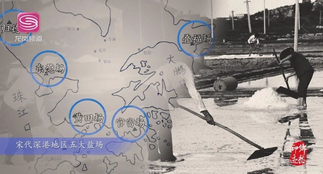 印迹|乡愁印迹!追寻龙岗荷坳的历史