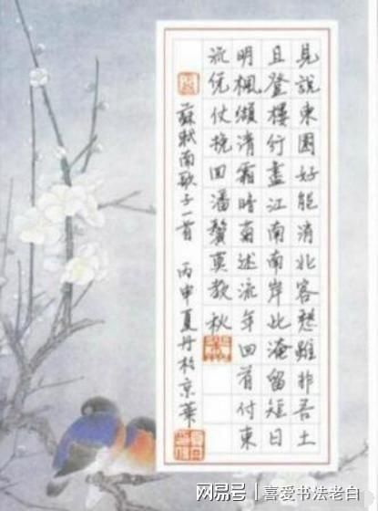 欧阳夏丹的硬笔书法不错,楷书端庄大气,行书洒脱飘逸